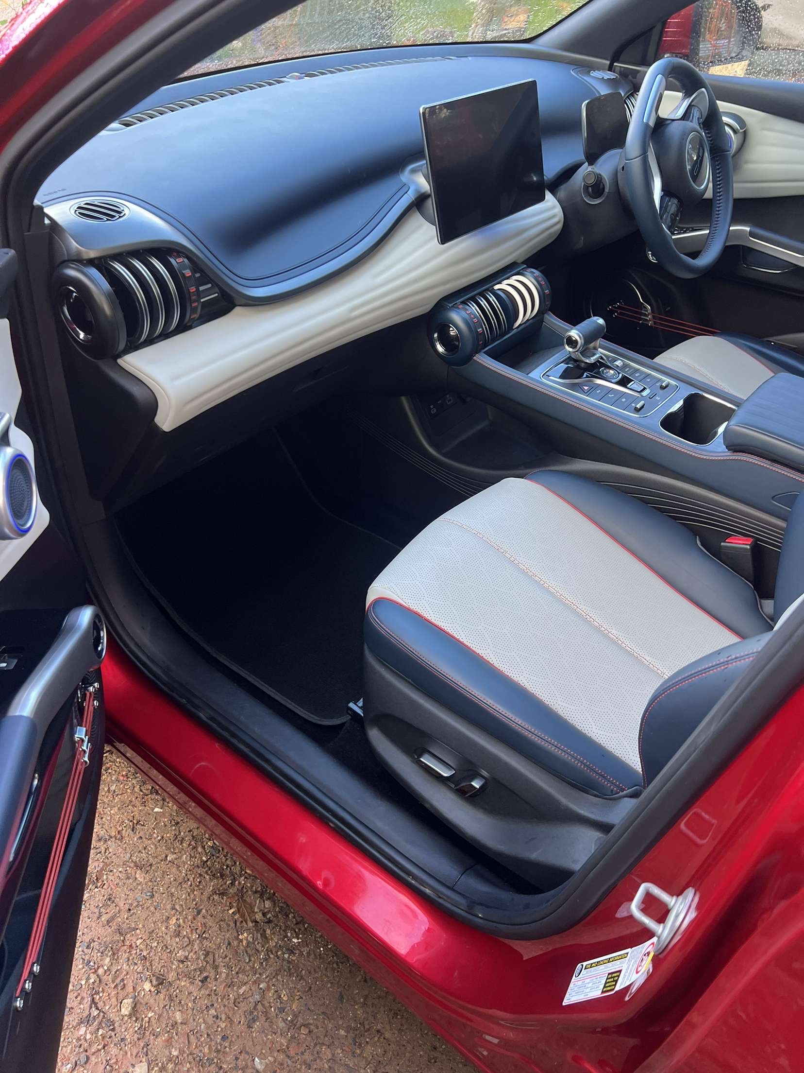 Professional car detail